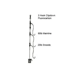 3 Hook Clipdown Fluorocarbon Rig