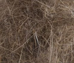 Argentinian Hare Dubbing