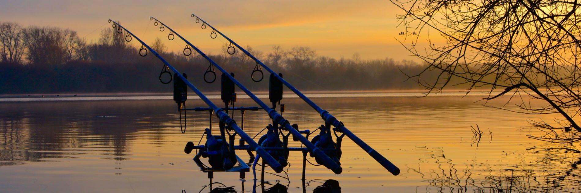 Angel Fach Geschäft -Angel Fach Geschäft dfgdfgas