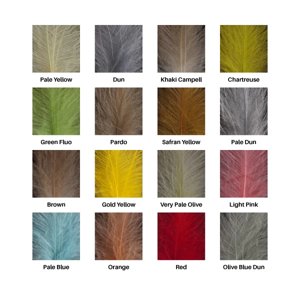 Feathers Standard Grade 4 Feathers Standard Grade - Afbeelding 2