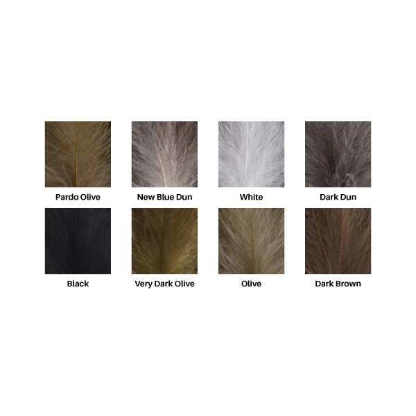 Feathers Standard Grade 5 Feathers Standard Grade - Afbeelding 3