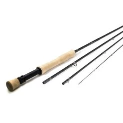 Scott Radian -Angel Fach Geschäft radian 1